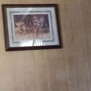 Meet your Posher, Rocio